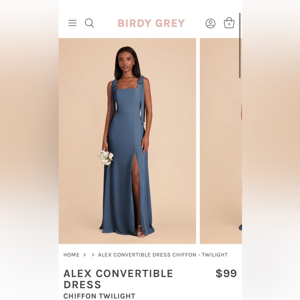 NWT Birdy Grey Alex Convertible Dress - Chiffon Twilight